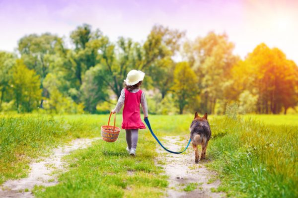 Cani, a spasso solo con la patente