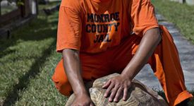 10 animali che vivono bene dietro le sbarre (FOTO)