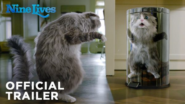 Nine lives, se l'umano diventa gatto (VIDEO)