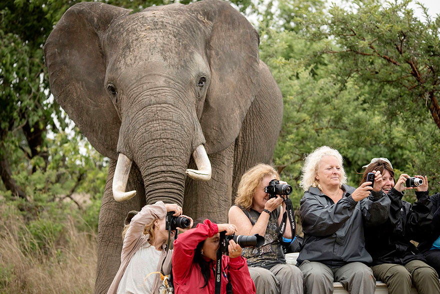 Persone con elefante alle spalle