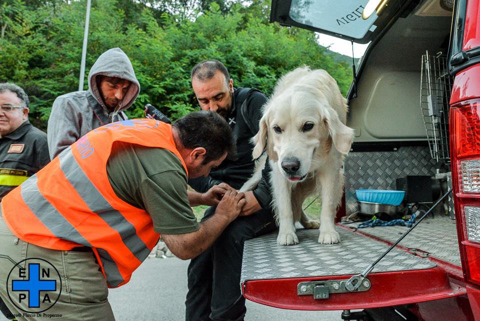 Unità cinofila ferita a una zampa curata da veterinario ENPA