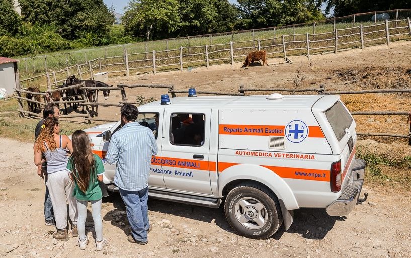 ambulanza veterinaria Enpa in campagna