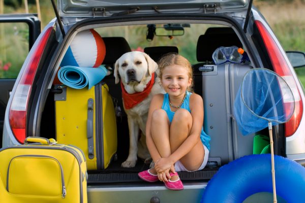 kit, viaggio, cane, cane, viaggio, auto, 10 cani che amano la vacanza in campeggio (FOTO)