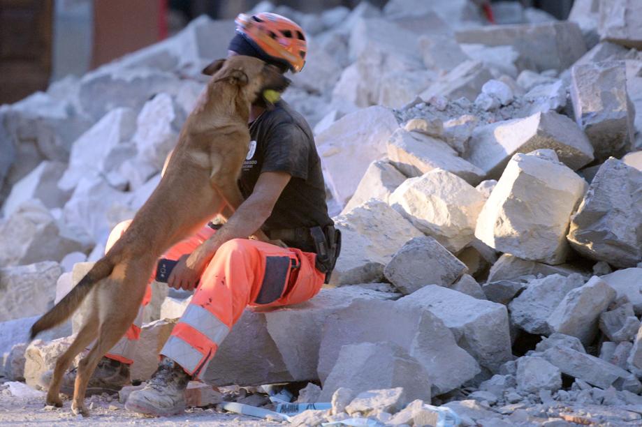 cane e soccorritore tra le macerie terremoto
