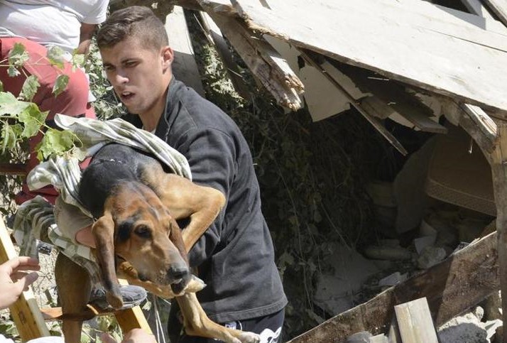 Terremoto in tempo reale, cane estratto dalle macerie (VIDEO)