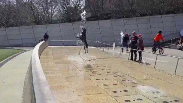 Cane euforico dà spettacolo in una fontana (VIDEO)