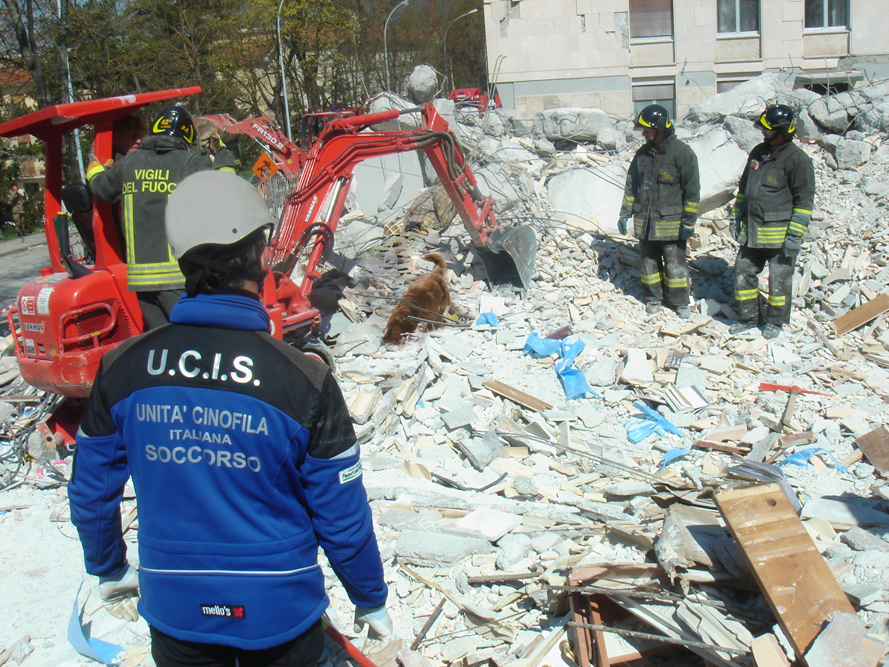 cane unità cinofila scava tra le macerie terremoto aquila