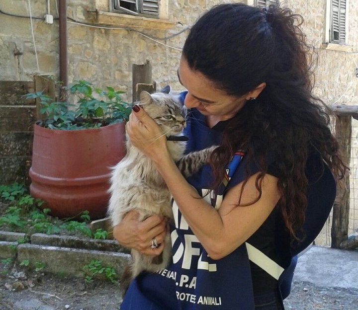 gatto in braccio a una volontaria Enpa