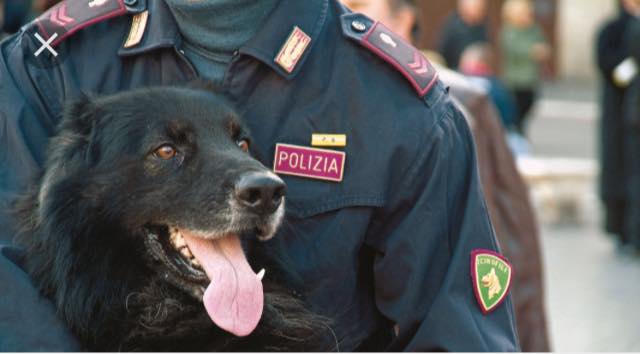 Terremoto in tempo reale, cane Sarotti salva bimba (VIDEO)