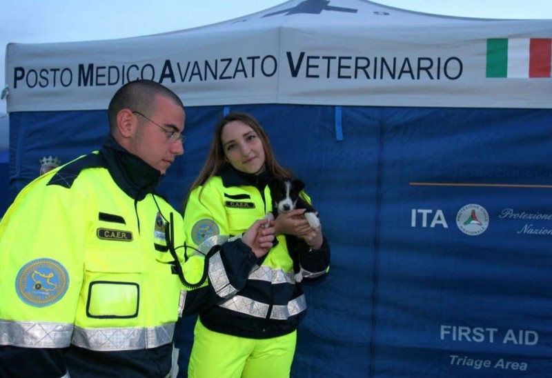 soccorritori con cucciolo in tendopoli terremoto