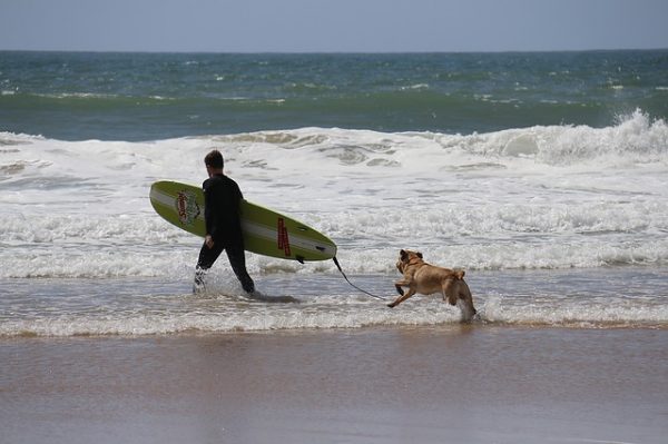 uomo con tavola e cane in mare