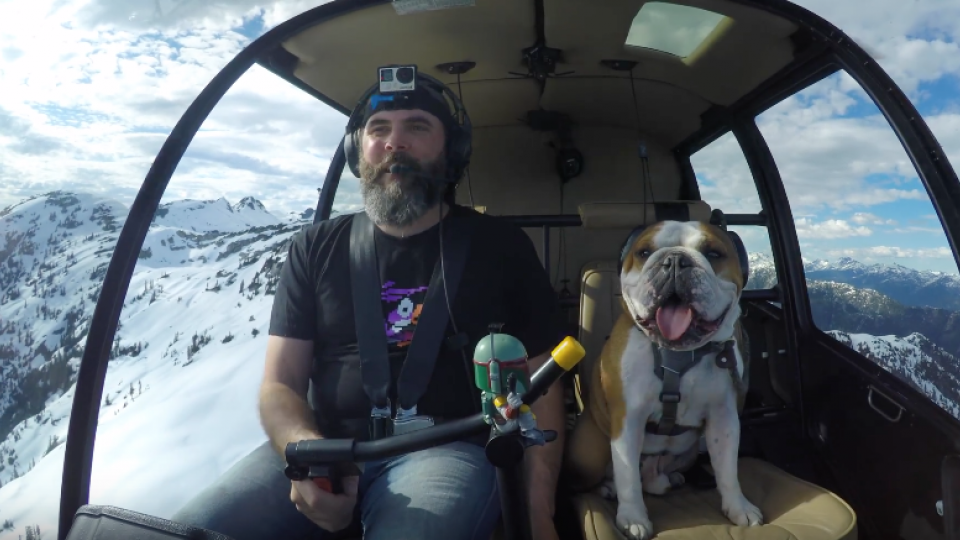 Mr Bentley, bulldog nato con la camicia (VIDEO)