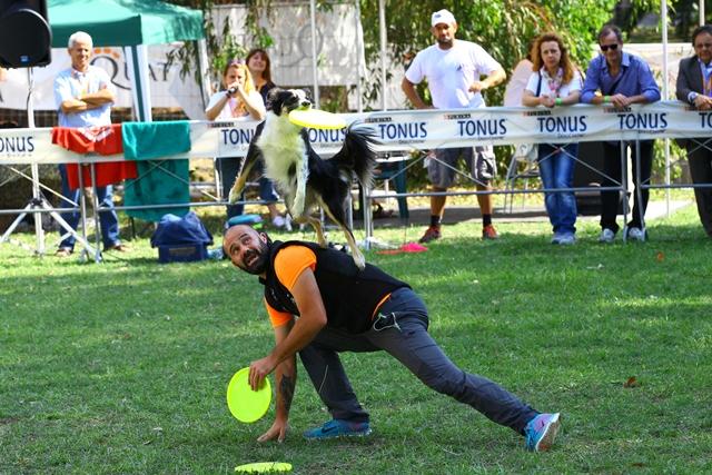 Tonus disc dog, acrobazie canine con frisbee (VIDEO)