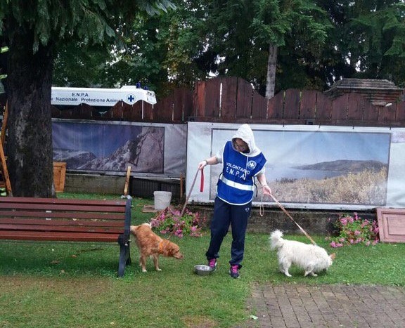 Terremoto, quasi mille animali salvati dall'Enpa