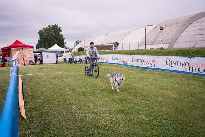 cane-traina-bicicletta