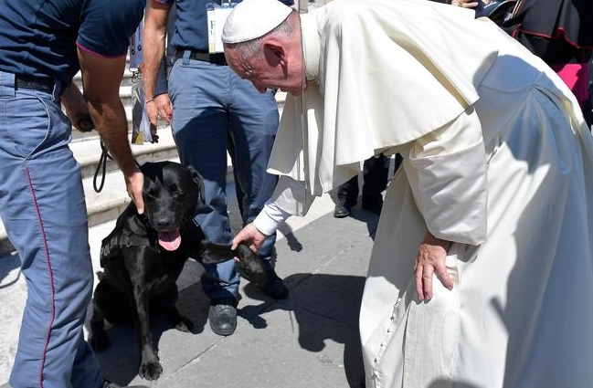 papa prende la zampa del labrador nero Leo