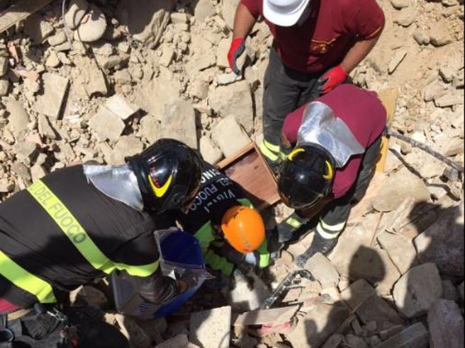 Terremoto, miagolio sotto le macerie dopo 16 giorni (VIDEO)