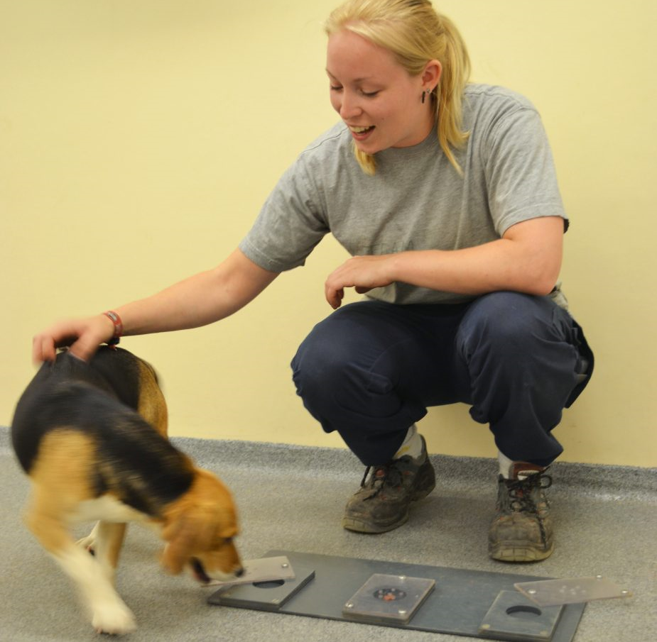 Cane, in 5 geni il segreto di un'antica amicizia