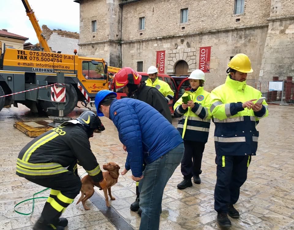 cagnolino-con-vigili-del-fuoco