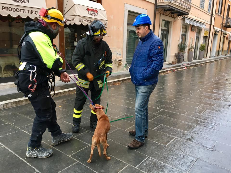 cagnolino-insieme-a-vigili-del-fuoco