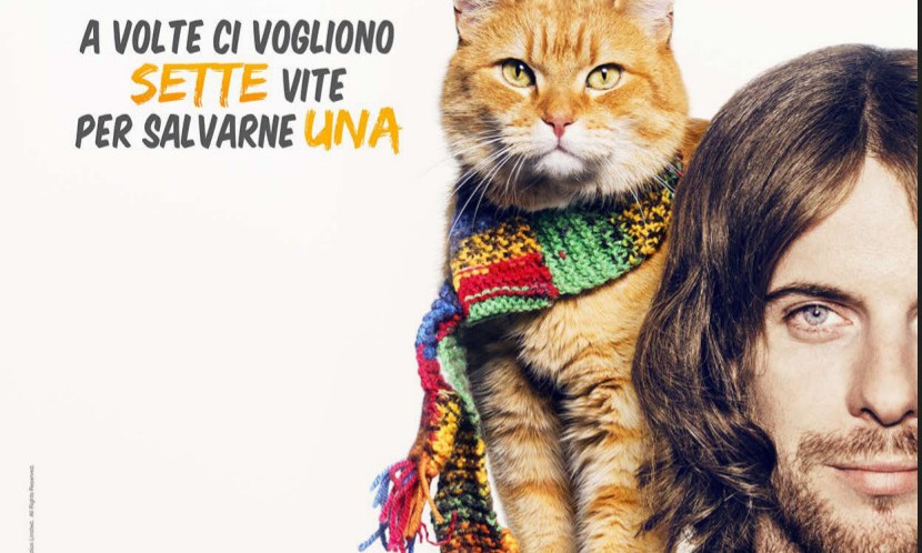 Bob il gatto rosso che salva la vita (VIDEO)