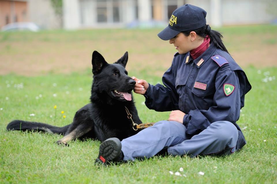 pastore-tedesco-con-poliziotta
