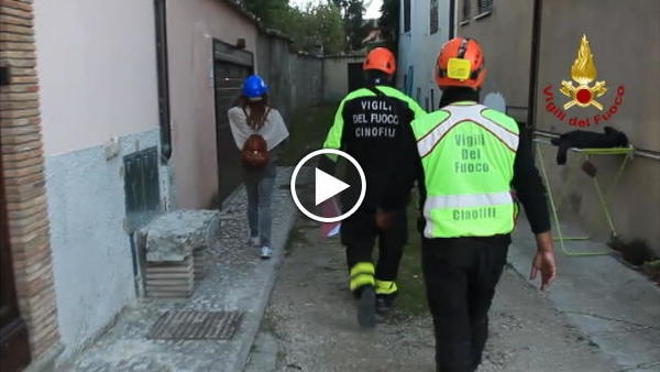 Terremoto, emergenza animali rimasti nelle case (VIDEO)