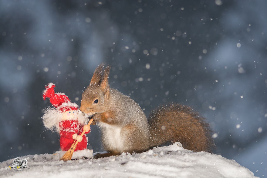 pupazzo-di-santa-claus-e-scoiattolo