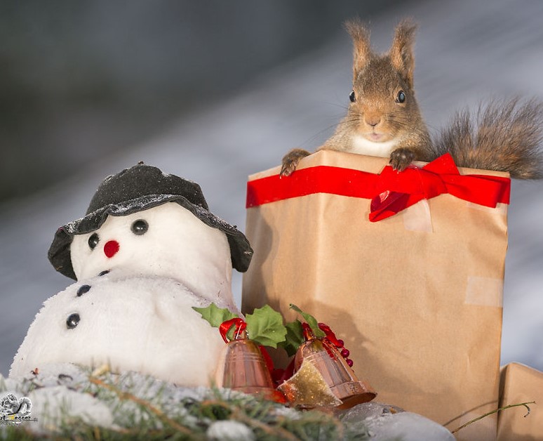 scoiattolo-in-scatola-e-pupazzo-di-neve