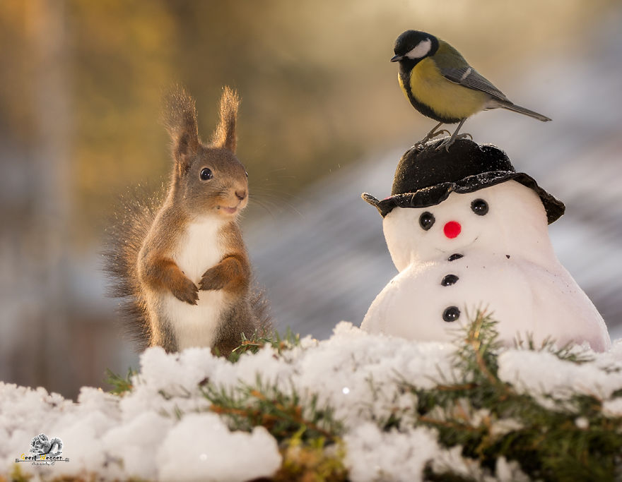 scoiattolo-pupazzo-di-neve-e-uccellino