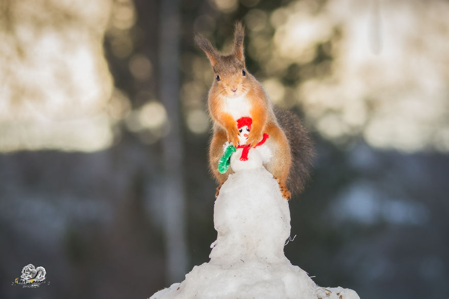 scoiattolo-su-pupazzo-di-neve