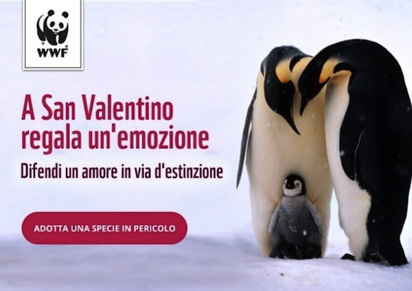 wwf, adozioni, san valentino