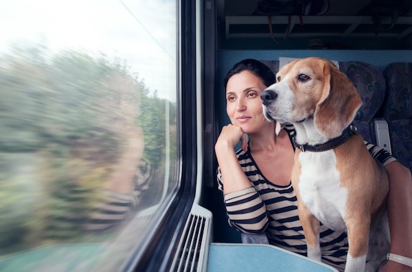 cane viaggio