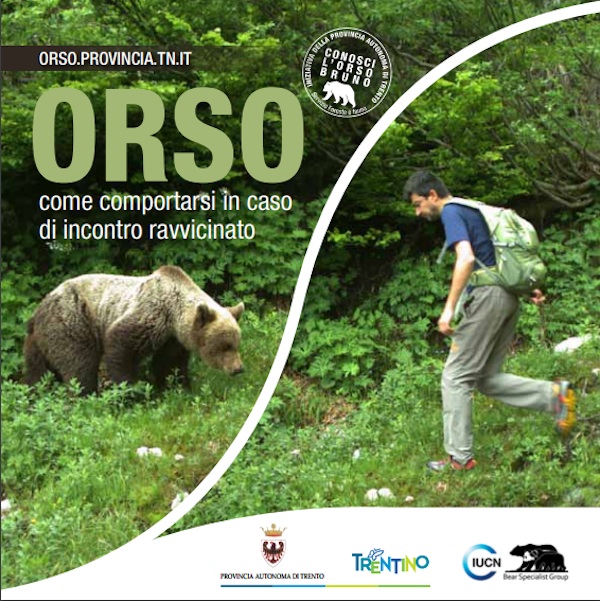 orso