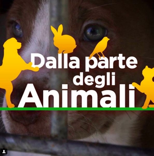 dalla parte degli animali, adozioni