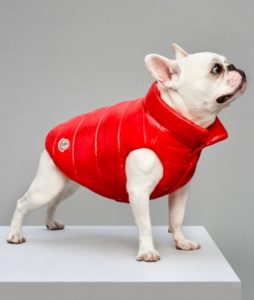 MonclerPoldo-Dog-Couture, cani, piumini