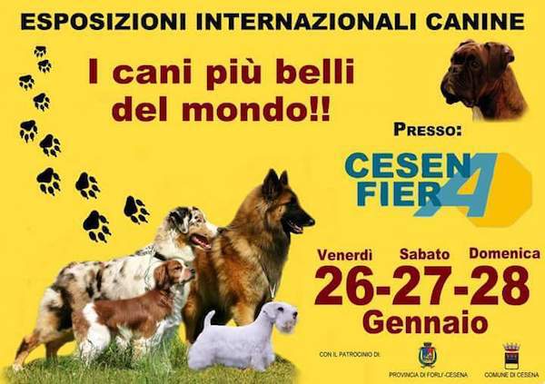 expo cani cesena