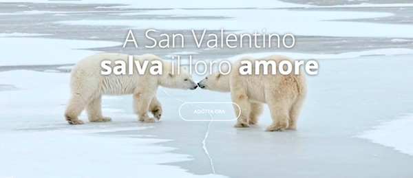 San Valentino Regala Un Adozione A Distanza Con Il Wwf