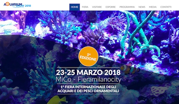 acquario pesci,