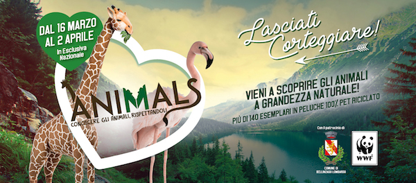 animals mostra