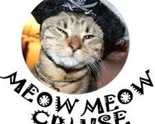 Meow Meow Cruise