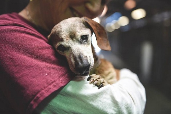 avere un cane fa bene alla salute