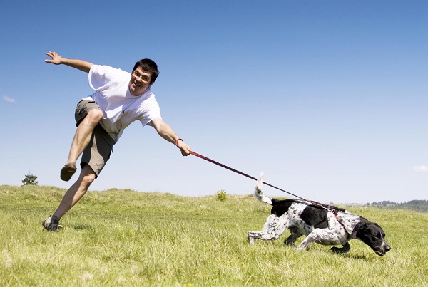 legge su guinzaglio obbligatorio cani