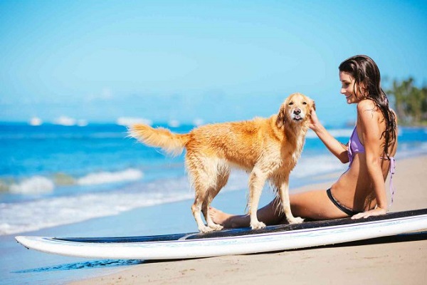 portare cani in spiaggia