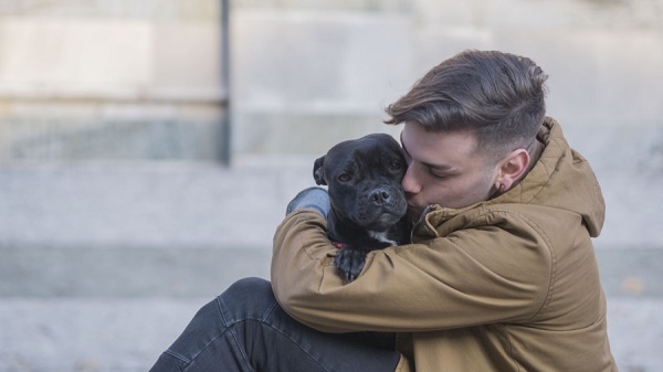 cani preferiscono elogi come ricompensa