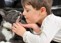 bambini e gatti autistici