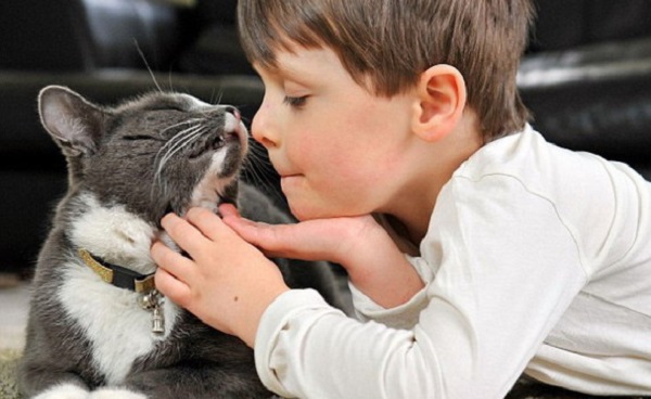 bambini e gatti autistici