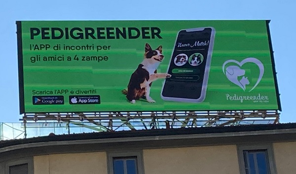 pubblicità incontri cani tinder