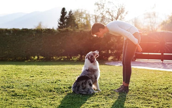 cane con padrone fuori