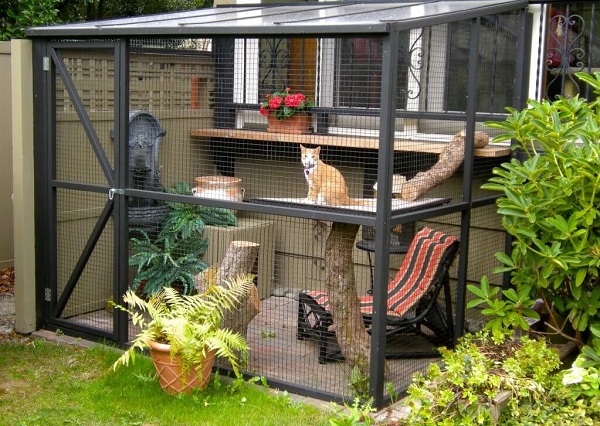 catio recinti gatti